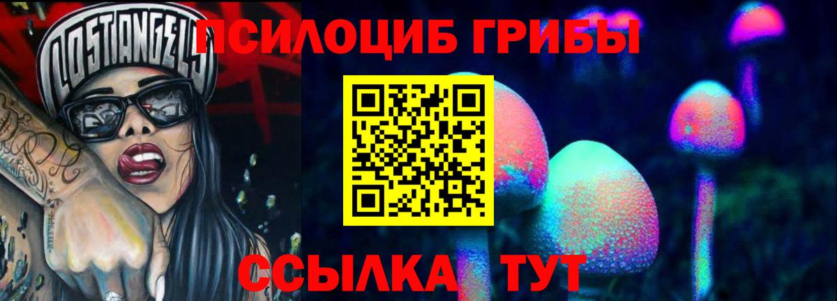 наркотики  Вход с VPN  Псилоцибиновые грибы Psilocybine cubensis  Рубцовск  Галлюциногенные грибы GOLDEN TEACHER 